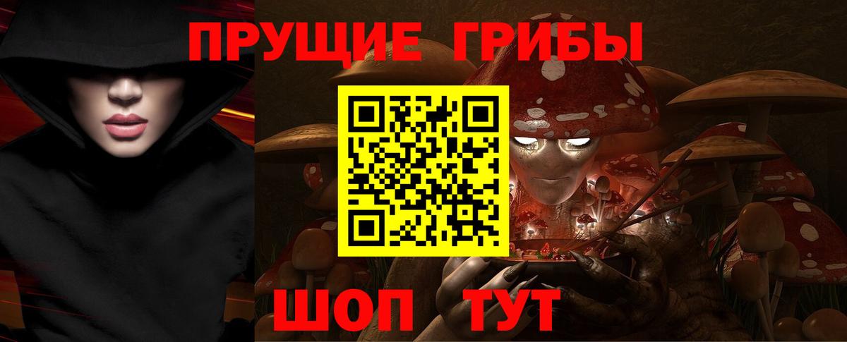 Псилоцибиновые грибы Psilocybine cubensis  Вход с VPN  Выкса 